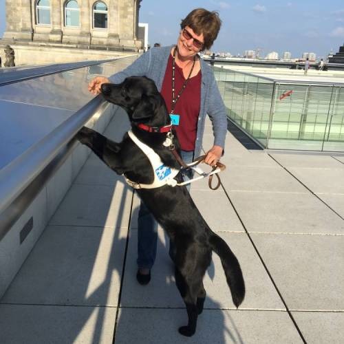 Foto von Helen Zimmermann mit Führhund Aiko auf dem Dach des Bundestags-Gebäudes in Berlin. Aiko schaut interessiert über die Brüstung um sich einen Überblick über Berlin zu verschaffen. 